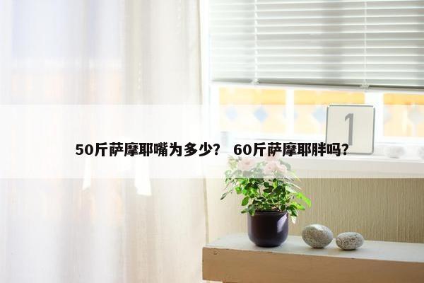 50斤萨摩耶嘴为多少？ 60斤萨摩耶胖吗？