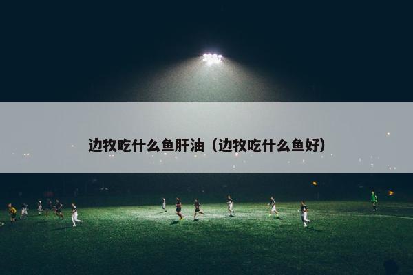 边牧吃什么鱼肝油（边牧吃什么鱼好）