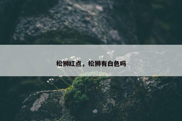 松狮红点，松狮有白色吗