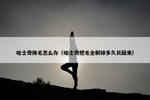 哈士奇换毛怎么办（哈士奇把毛全剃掉多久长回来）