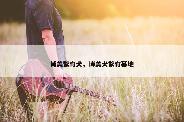 博美繁育犬，博美犬繁育基地