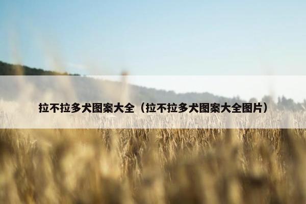 拉不拉多犬图案大全（拉不拉多犬图案大全图片）
