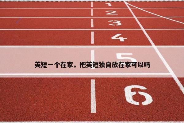 英短一个在家，把英短独自放在家可以吗