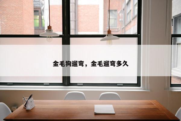 金毛狗遛弯，金毛遛弯多久