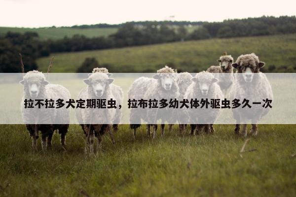 拉不拉多犬定期驱虫，拉布拉多幼犬体外驱虫多久一次