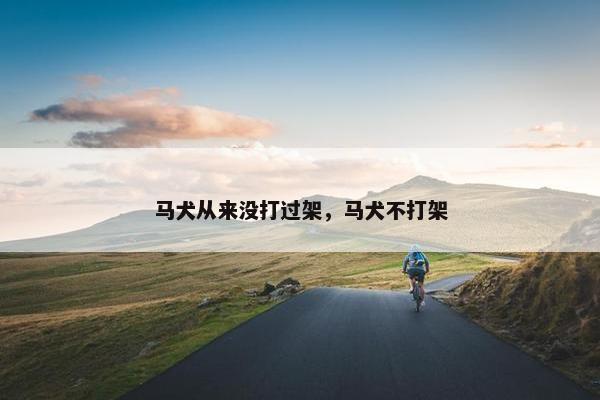 马犬从来没打过架，马犬不打架
