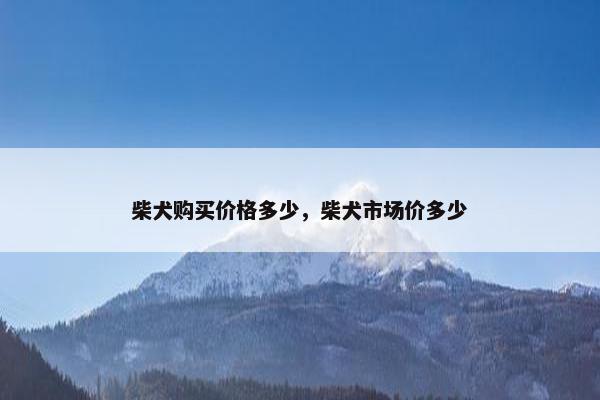 柴犬购买价格多少，柴犬市场价多少