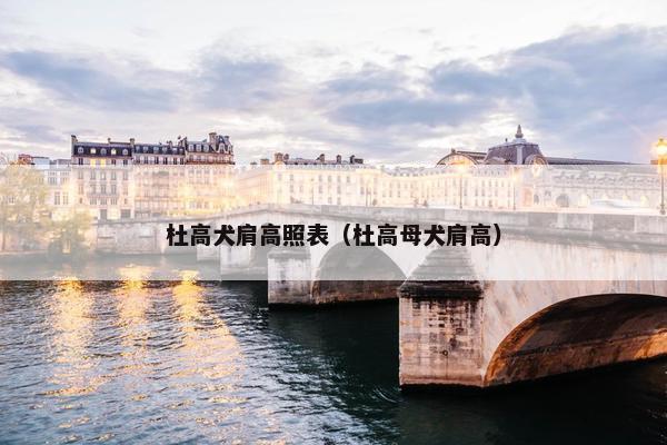 杜高犬肩高照表（杜高母犬肩高）