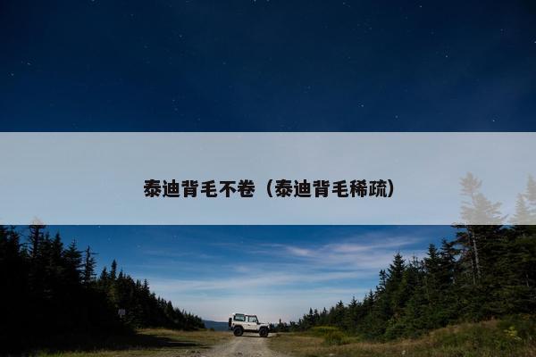 泰迪背毛不卷（泰迪背毛稀疏）