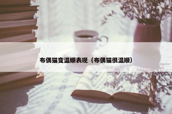 布偶猫变温顺表现（布偶猫很温顺）