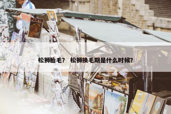 松狮胎毛？ 松狮换毛期是什么时候？