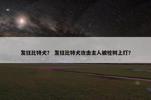 发狂比特犬？ 发狂比特犬攻击主人被栓树上打？