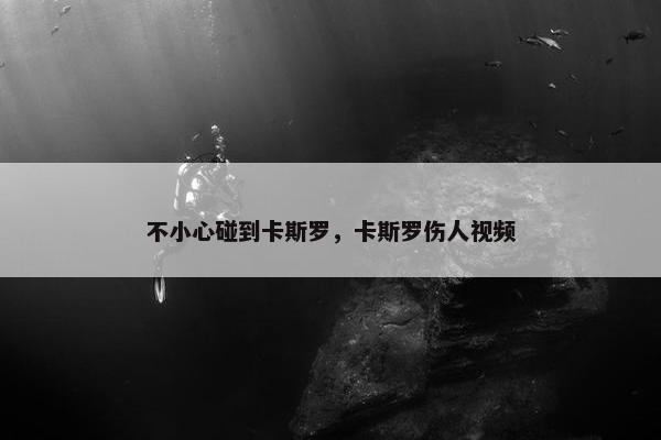 不小心碰到卡斯罗，卡斯罗伤人视频