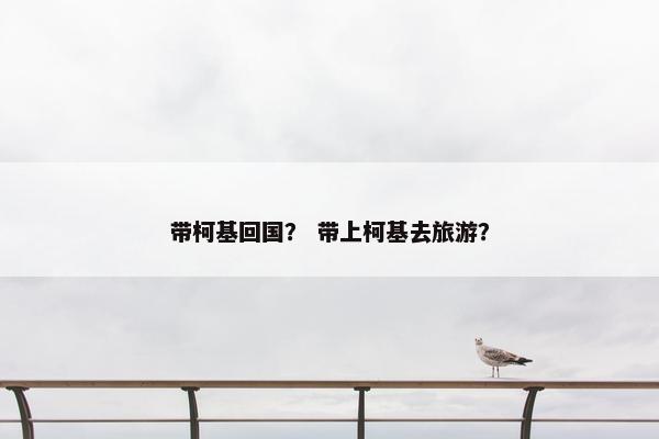 带柯基回国？ 带上柯基去旅游？