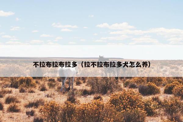 不拉布拉布拉多（拉不拉布拉多犬怎么养）