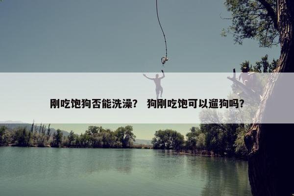 刚吃饱狗否能洗澡？ 狗刚吃饱可以遛狗吗？