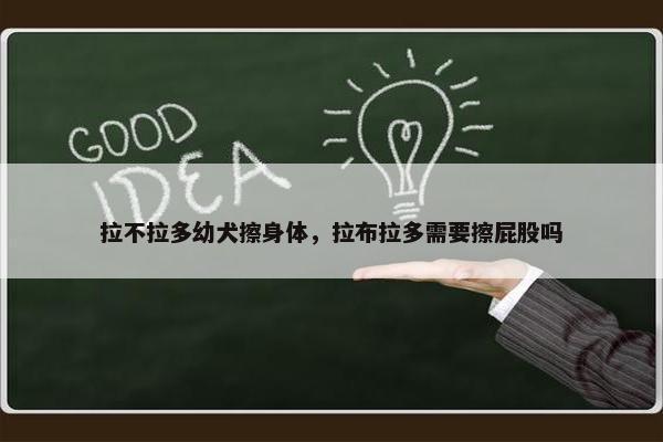 拉不拉多幼犬擦身体，拉布拉多需要擦屁股吗
