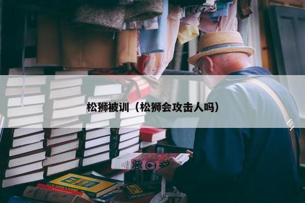 松狮被训（松狮会攻击人吗）