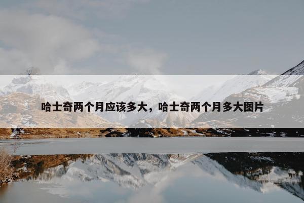 哈士奇两个月应该多大，哈士奇两个月多大图片