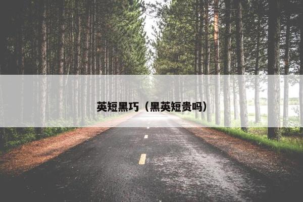 英短黑巧（黑英短贵吗）