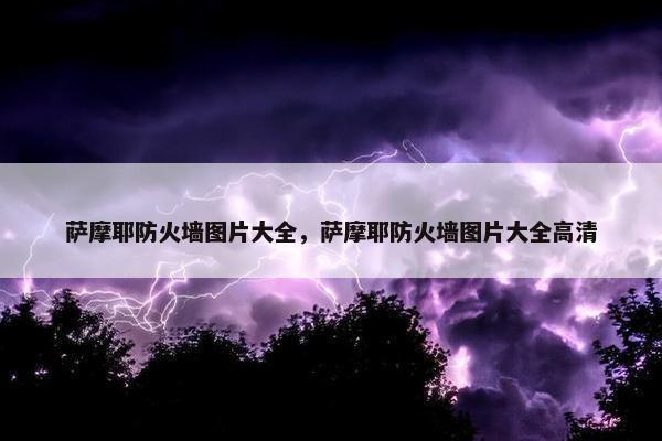 萨摩耶防火墙图片大全，萨摩耶防火墙图片大全高清