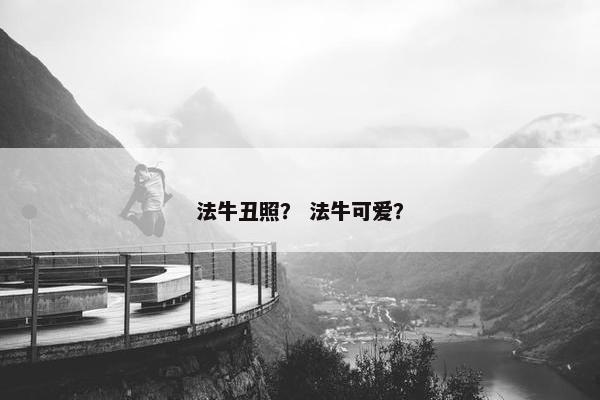 法牛丑照？ 法牛可爱？