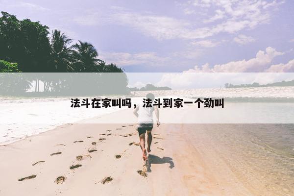 法斗在家叫吗，法斗到家一个劲叫