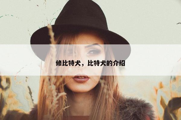 修比特犬，比特犬的介绍