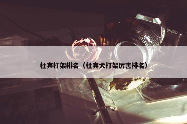 杜宾打架排名（杜宾犬打架厉害排名）