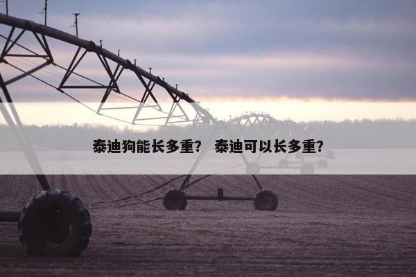 泰迪狗能长多重？ 泰迪可以长多重？