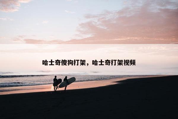 哈士奇傻狗打架，哈士奇打架视频