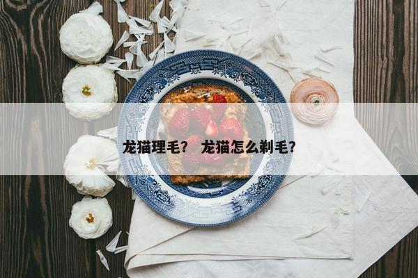 龙猫理毛？ 龙猫怎么剃毛？