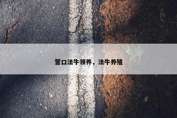 营口法牛领养，法牛养殖