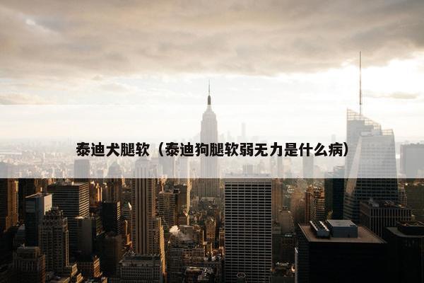 泰迪犬腿软（泰迪狗腿软弱无力是什么病）