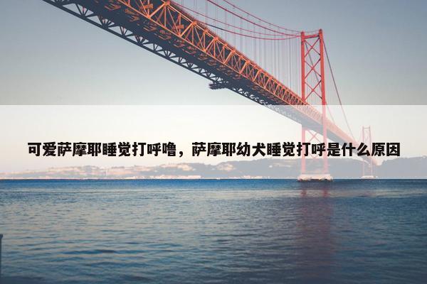可爱萨摩耶睡觉打呼噜，萨摩耶幼犬睡觉打呼是什么原因