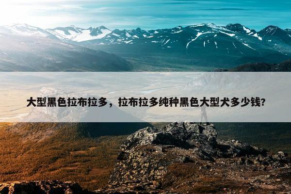 大型黑色拉布拉多，拉布拉多纯种黑色大型犬多少钱?