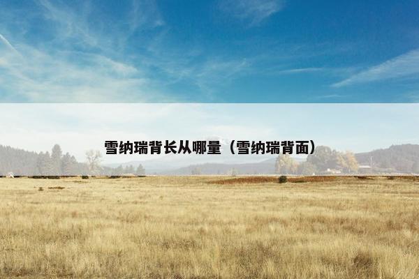 雪纳瑞背长从哪量（雪纳瑞背面）