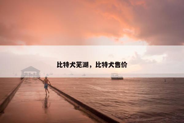 比特犬芜湖，比特犬售价