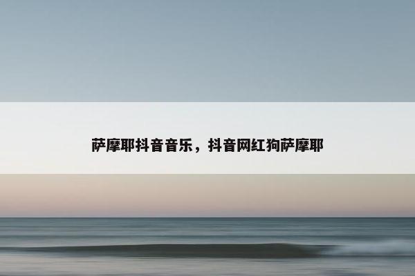 萨摩耶抖音音乐，抖音网红狗萨摩耶