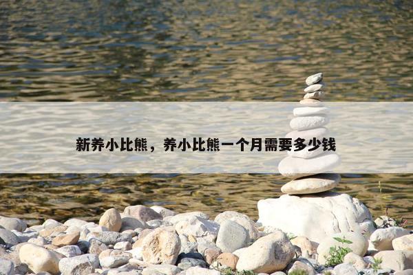 新养小比熊，养小比熊一个月需要多少钱