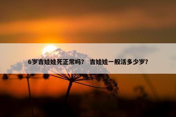 6岁吉娃娃死正常吗？ 吉娃娃一般活多少岁？