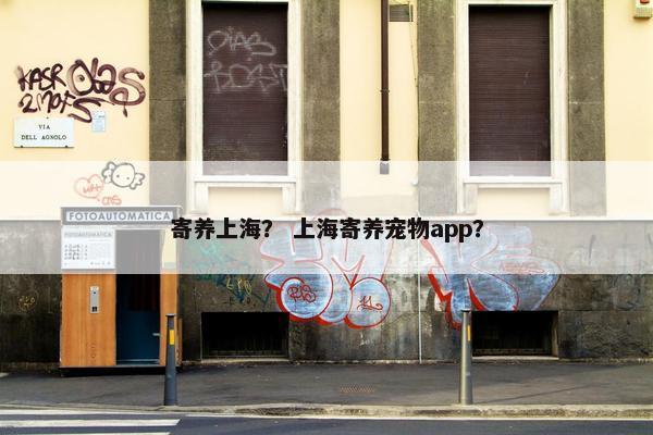 寄养上海？ 上海寄养宠物app？