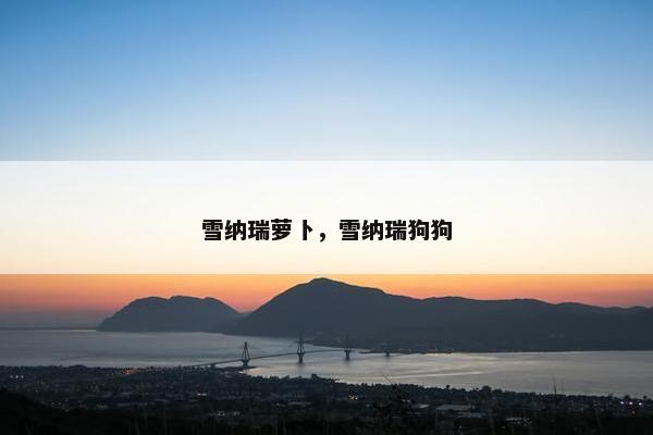 雪纳瑞萝卜，雪纳瑞狗狗