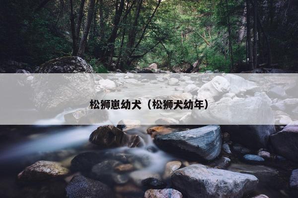 松狮崽幼犬（松狮犬幼年）