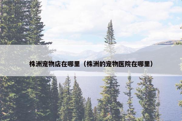 株洲宠物店在哪里（株洲的宠物医院在哪里）