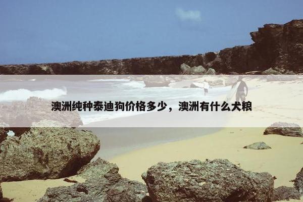 澳洲纯种泰迪狗价格多少，澳洲有什么犬粮