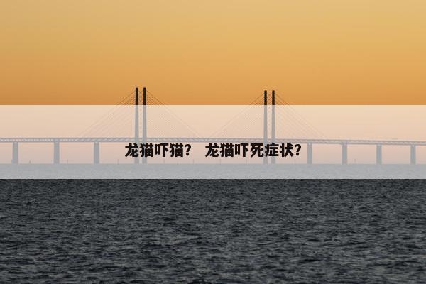 龙猫吓猫？ 龙猫吓死症状？
