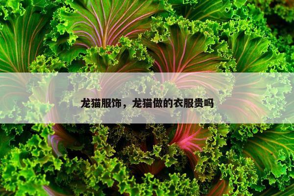 龙猫服饰，龙猫做的衣服贵吗