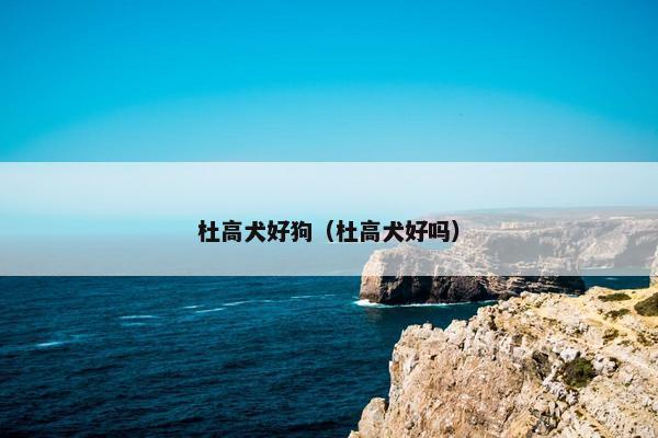 杜高犬好狗（杜高犬好吗）
