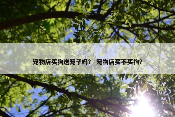 宠物店买狗送笼子吗？ 宠物店买不买狗？
